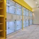 민들레장 이미지