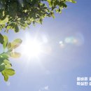 햇살국어전문학원