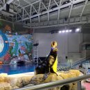 오션 아레나 이미지