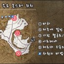 비비슈 이미지