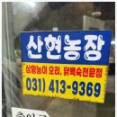 수겸농장 네이버블로그