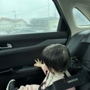제주도 렌트카 카시트 대여 해피렌트카 만족 후기