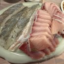 토마토수산시장 | 내돈내산 토마토수산_방어광어후기