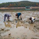 북고어촌체험휴양마을 | 경남 아이와 갈만한곳 갯벌 조개 캐기 고성 룡대미어촌체험마을(ft 한국어촌어항공단)