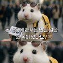 영화의거리 내(아델리스 103동 앞) | 2025년 9월, 제법 존중받는 일상