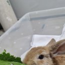 루카스뮤직학원