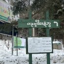 조미원 | 강원도 대관령 양떼목장 눈 내린날의 풍경, 애견동반 가능여부