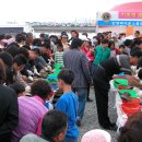 정남진 장흥 키조개축제(전남) 이미지