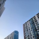 부곡우방타운 | 김천도배 부곡우방타운 아토피 안심 실크벽지 시공 힐스테이트율곡도배추천