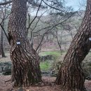 성주산자연휴양림 이미지