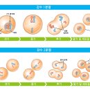 출력센터 이미지