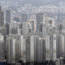 강남별공인중개사사무소 이미지