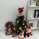르엘브로우 | 동대문속눈썹펌 르엘브로우 블랙틴팅 영양케라틴 속눈썹펌후기!
