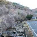 대도양행 | BAC 100대 명산 (32/100) 민주지산 올겨울 첫 눈꽃산행 후기 (23/11/17)