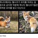 단미갤러리 이미지