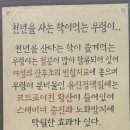 허서방추어탕메기매운탕