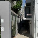 리브인 | 망원카페 추천 | 리브인오후(우베크림케이크 후기)