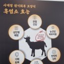 삼대가염소탕
