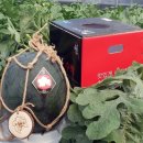 단풍미인 이미지