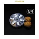 H0451 이미지