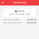 체크페이 네이버블로그