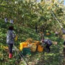 고성군농업기술센터 이미지