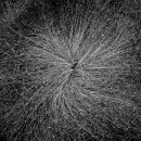 장바구리 이미지