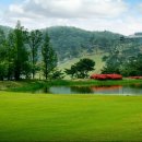 아크로 골프 이미지