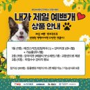 나보다 예쁘개 이미지