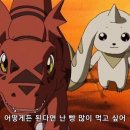 올웨이즈 어거스트 이미지