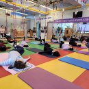 라파엘브릿지 이미지