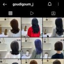 고우디고움 이미지