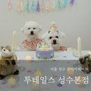 투테일스 | 서울강아지케이크 투테일스 성수본점 강아지생일파티 후기