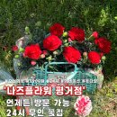 나즈플라워 이미지