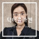 닥터원동물병원 | 서초 남부터미널역 피부과 닥터콜라겐 솔직후기