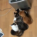 옹기종기 - 거제시 거제대로 3427 | 옹기종기