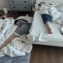 혜진이네민박 이미지