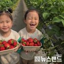 청남초교 병설유치원 이미지