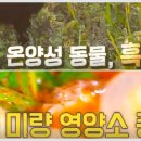 친환경흑염소농장 이미지