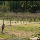 손주들농장 이미지