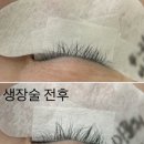 라움래쉬 이미지