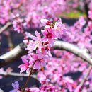 반곡저수지 이미지