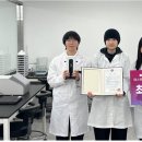 팀디자인 이미지