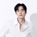 수호인