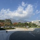 델피노 I 이미지