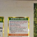 힐스템 티스토리