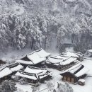 아름답고 고즈넉한 울진 겨울 여행 명소 모음 이미지