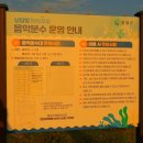 남당항 | 충남 여름 물놀이 명소, 홍성 남당항 해양 분수공원 솔직후기