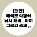 채석포항 | [태안] 채석포 학꽁치 낚시 테트라포트에서 손맛 제대로 본 후기!