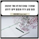 에프앤에프글로벌 | 7월 4주차 공모주 청약 일정(시지트로닉스, 엠아이큐브솔루션, 파두)수요예측일정(파두, 큐리옥스바이오...